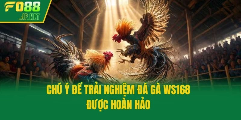 Chú ý để trải nghiệm đá gà WS168 được hoàn hảo