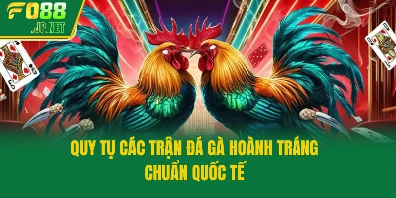 Quy tụ các trận đá gà hoành tráng chuẩn quốc tế